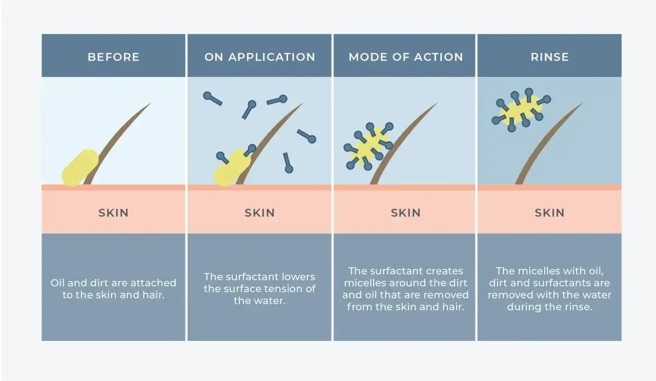 Ilustración muestra cómo los surfactantes limpian la piel. El sodium cocoyl isethionate es malo, ya que puede irritar.