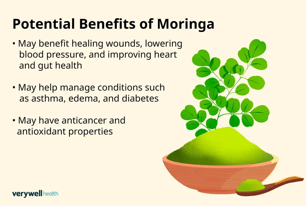 Ilustración de moringa en polvo y hojas, destacando sus moringa propiedades para la salud, como la cicatrización y el manejo de enfermedades.