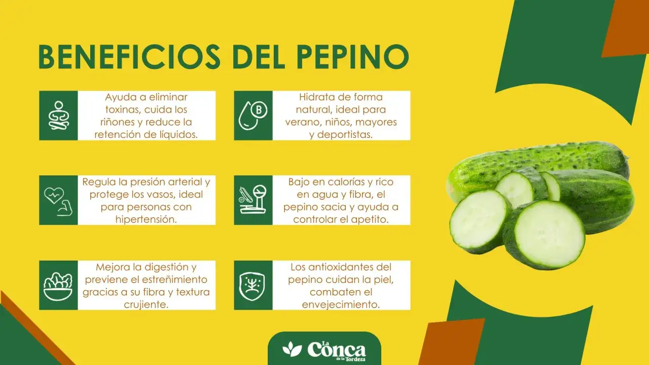 El pepino es bueno para hidratar, eliminar toxinas, regular la presión y mejorar la digestión. ¡Descubre todos sus beneficios!