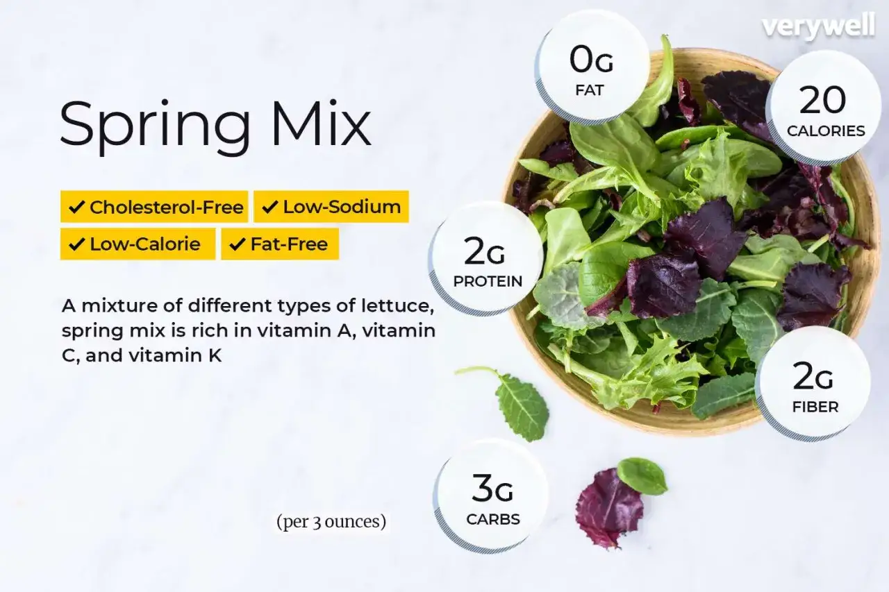 Ensalada de lechugas variadas, destacando sus propiedades: baja en calor&iacute;as, sin grasa, rica en vitaminas A, C, K, fibra y prote&iacute;na.