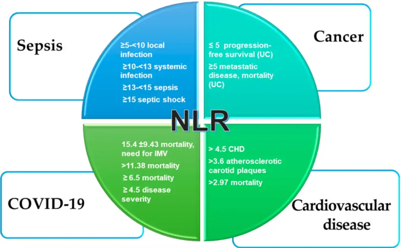 Diagrama circular muestra la relación entre el NLR y diversas condiciones: sepsis, cáncer, COVID-19 y enfermedad cardiovascular. Niveles altos de linfocitos (NLR) se asocian con mayor riesgo.