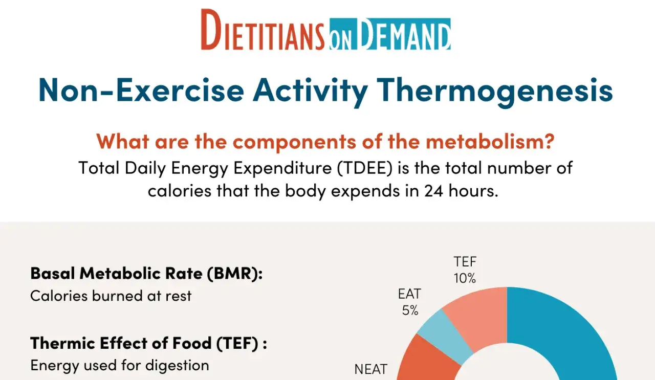 Desglose de los tipos de metabolismo: Tasa Metabólica Basal (BMR), Efecto Térmico de los Alimentos (TEF) y Actividad No Deportiva (NEAT).