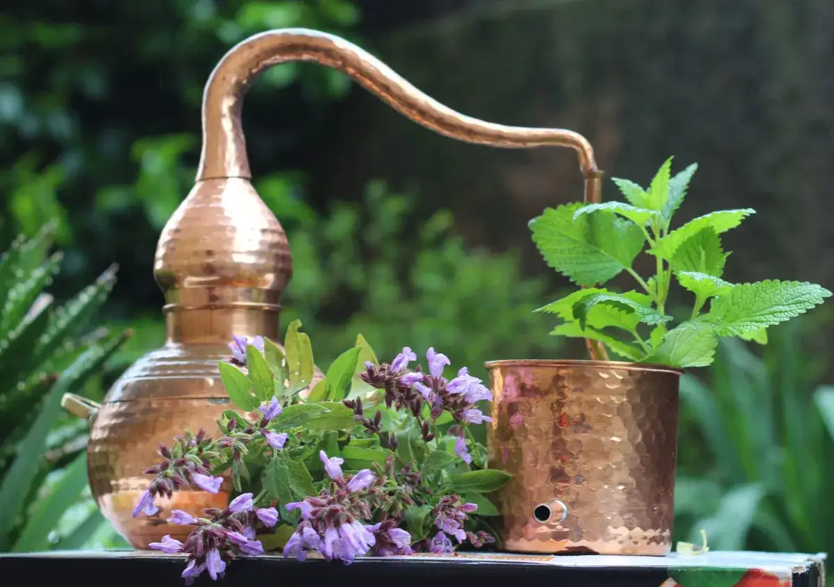 Alambique de cobre con salvia y menta, ideal para aprender como hacer aceites esenciales caseros.