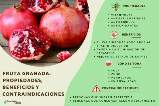 Granada - ¿Por qué es tan buena y cómo comerla?