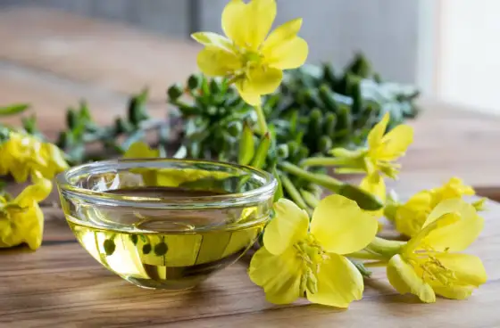 Aceite de onagra en menopausia - ¿Funciona o es un mito?