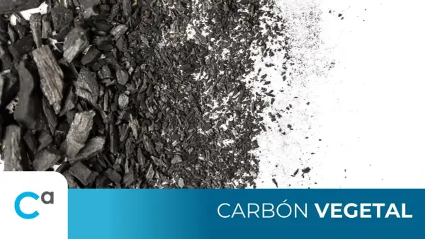 Carbón vegetal para que sirve: trozos y polvo negro sobre fondo blanco. Usos en filtración, medicina y cocina.