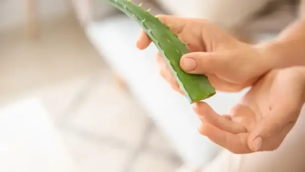 Manos aplicando gel de aloe vera para sequedad vulvar.