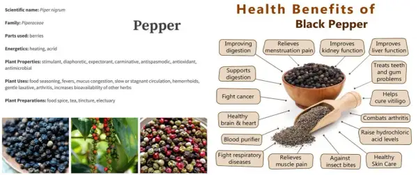 Pimienta negra: propiedades para la salud, desde mejorar la digestión hasta combatir la artritis. Beneficios para el cerebro, corazón y piel.