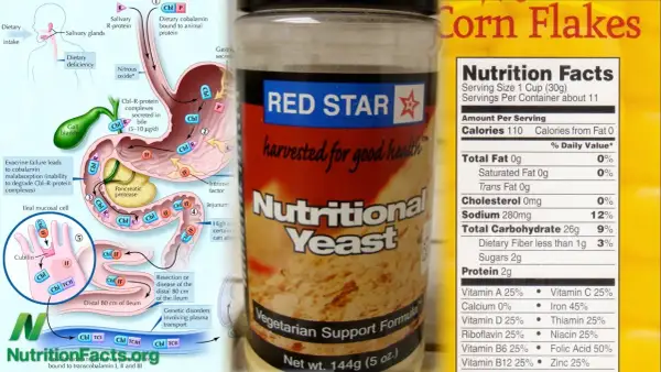 Levadura nutricional Red Star, fuente de vitamina B12. Ideal para vegetarianos.