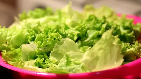 Lechuga fresca y crujiente en un bol rosa, lista para disfrutar de sus propiedades saludables.