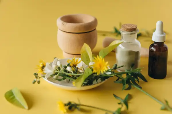 Mortar de madera, flores y hierbas frescas, polvo verde en frasco y frasco de aceite ámbar, listos para crear sinergias de aceites esenciales.