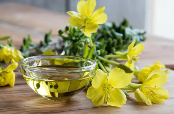 Aceite de onagra en un cuenco de cristal, rodeado de flores amarillas. Ideal para la dosis de menopausia.